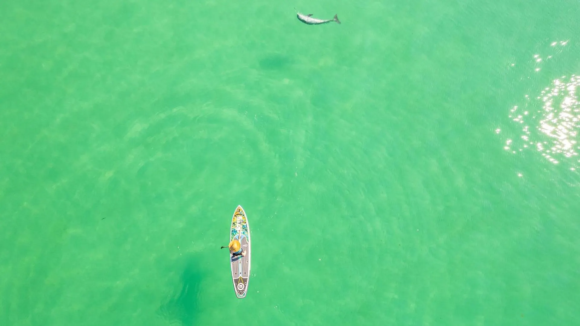 Grand Caribbean East 309- By Holiday Isle Properties Destin