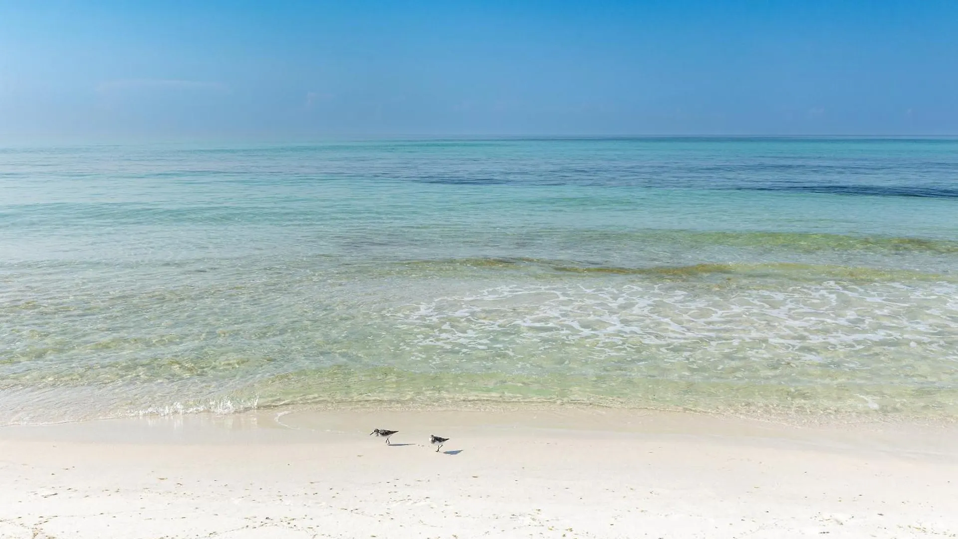 Grand Caribbean East 309- By Holiday Isle Properties Destin